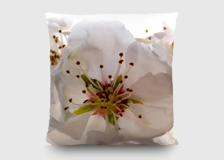 Cushion White Orchid, 45 x 45 cm, CN 3606 - Image 2