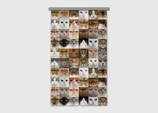 Curtain Cats, 140 x 245 cm, FCPL 6567