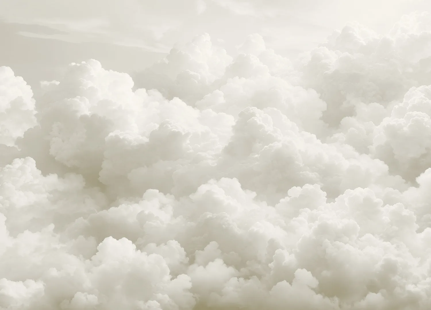 Custom Size Wall Mural Gray Clouds | Premium Non-Woven Wallpaper | FT5P 352141