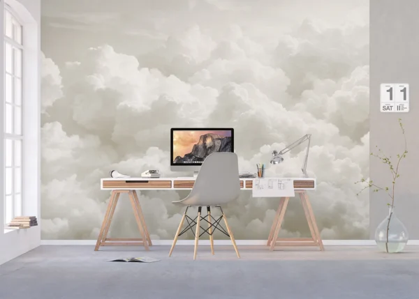 Custom Size Wall Mural Gray Clouds | Premium Non-Woven Wallpaper | FT5P 352141