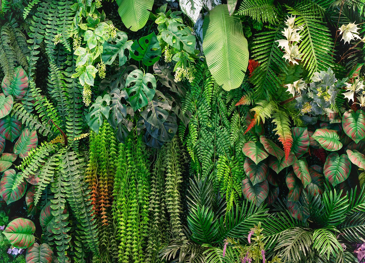 Custom Size Wall Mural Verdant Escape | Premium Non-Woven Wallpaper | FT5P 352413