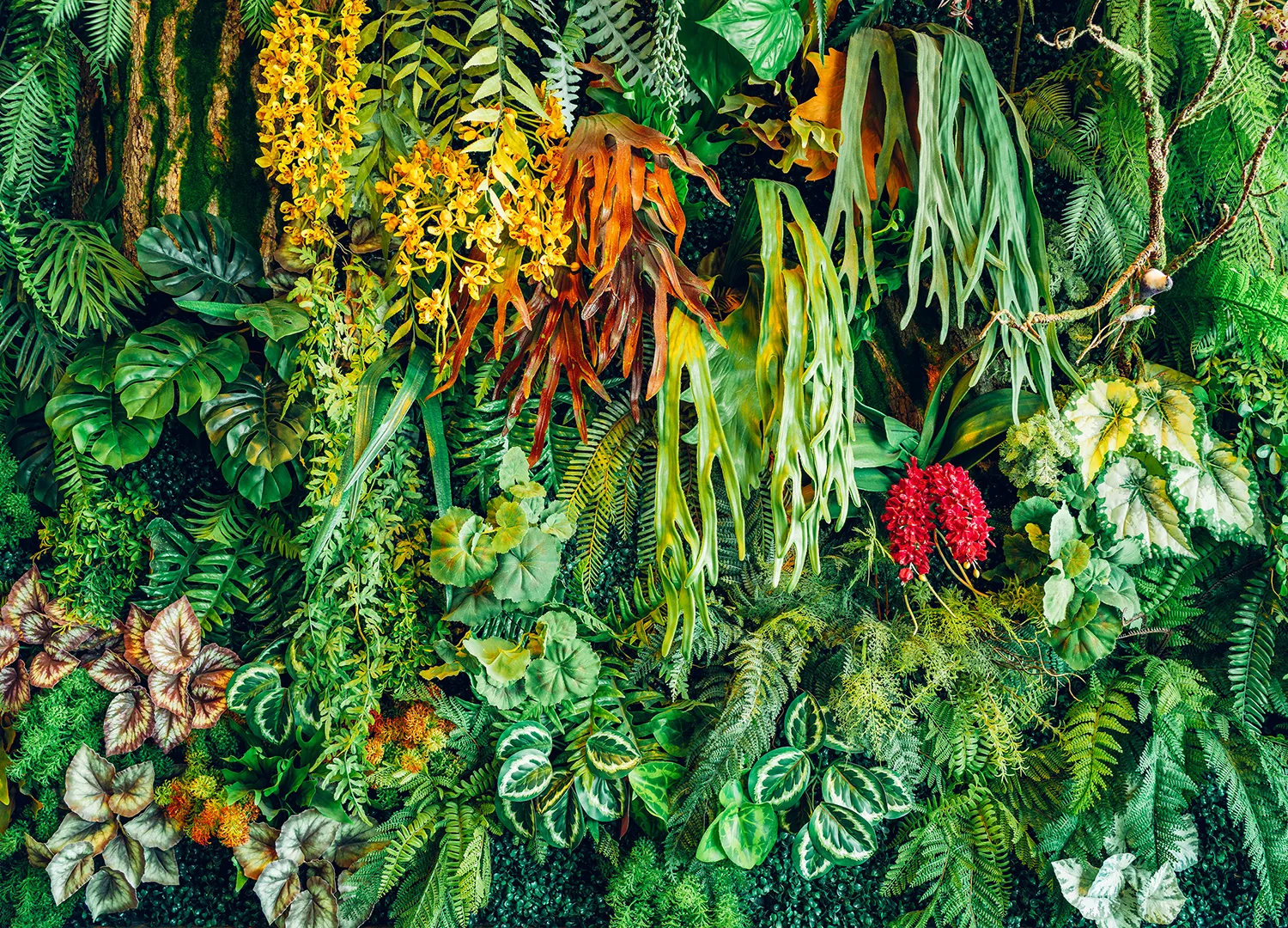 Custom Size Wall Mural Jungle Wall | Premium Non-Woven Wallpaper | FT5P 352417