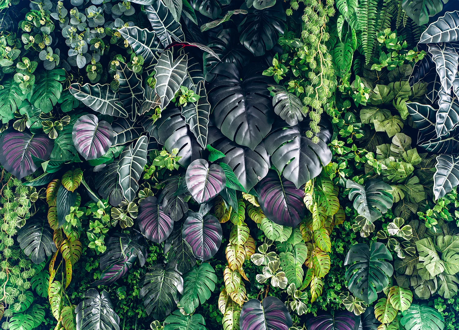 Custom Size Wall Mural Royal Foliage | Premium Non-Woven Wallpaper | FT5P 352419