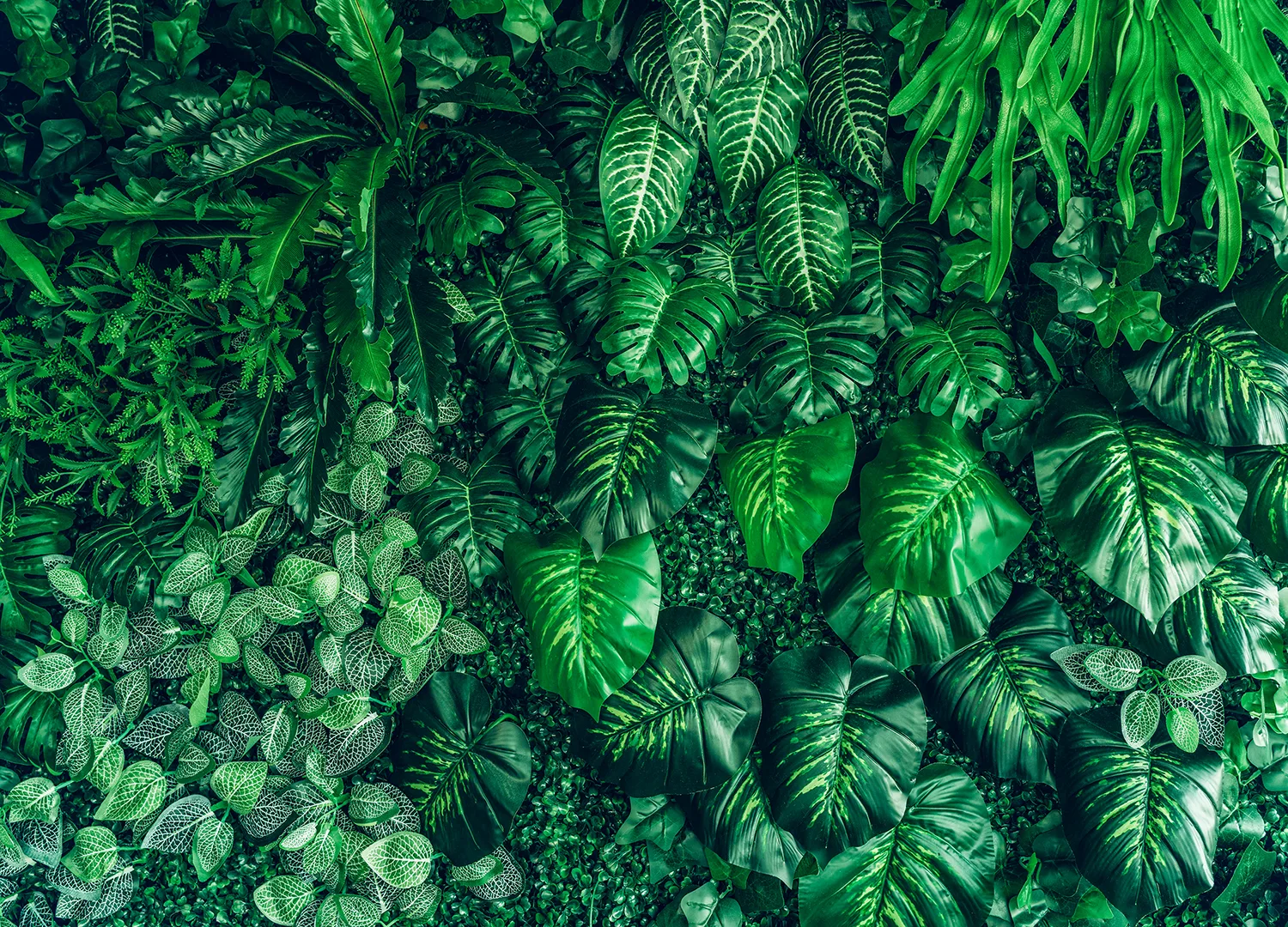 Custom Size Wall Mural Emerald Jungle | Premium Non-Woven Wallpaper | FT5P 352421