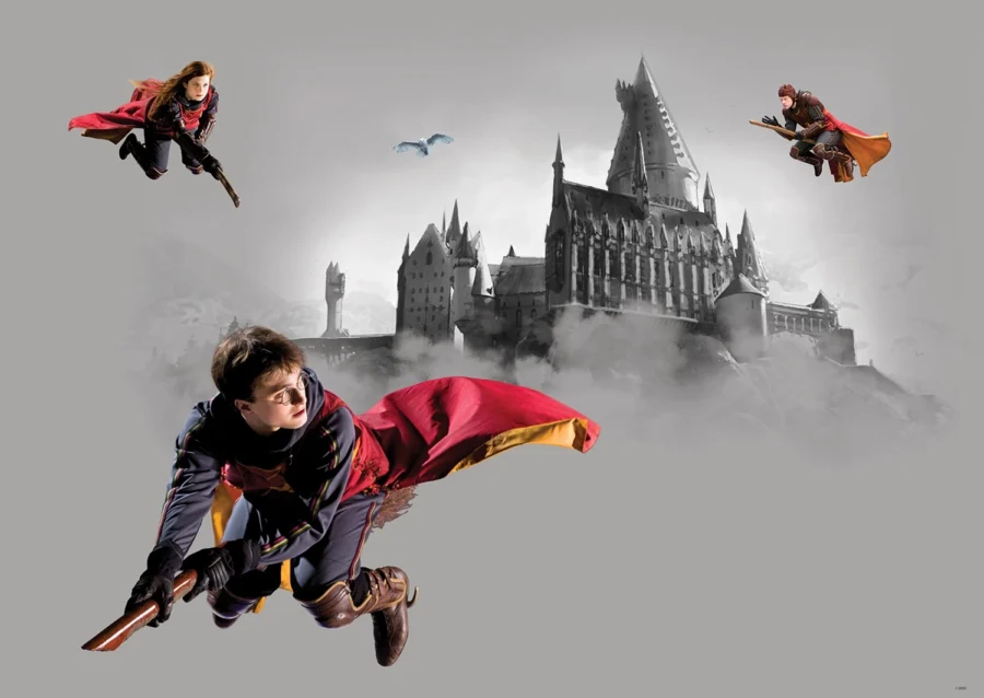 Wall Mural Harry Potter, 155 x 110 cm, FTDNM 5293 - Image 2