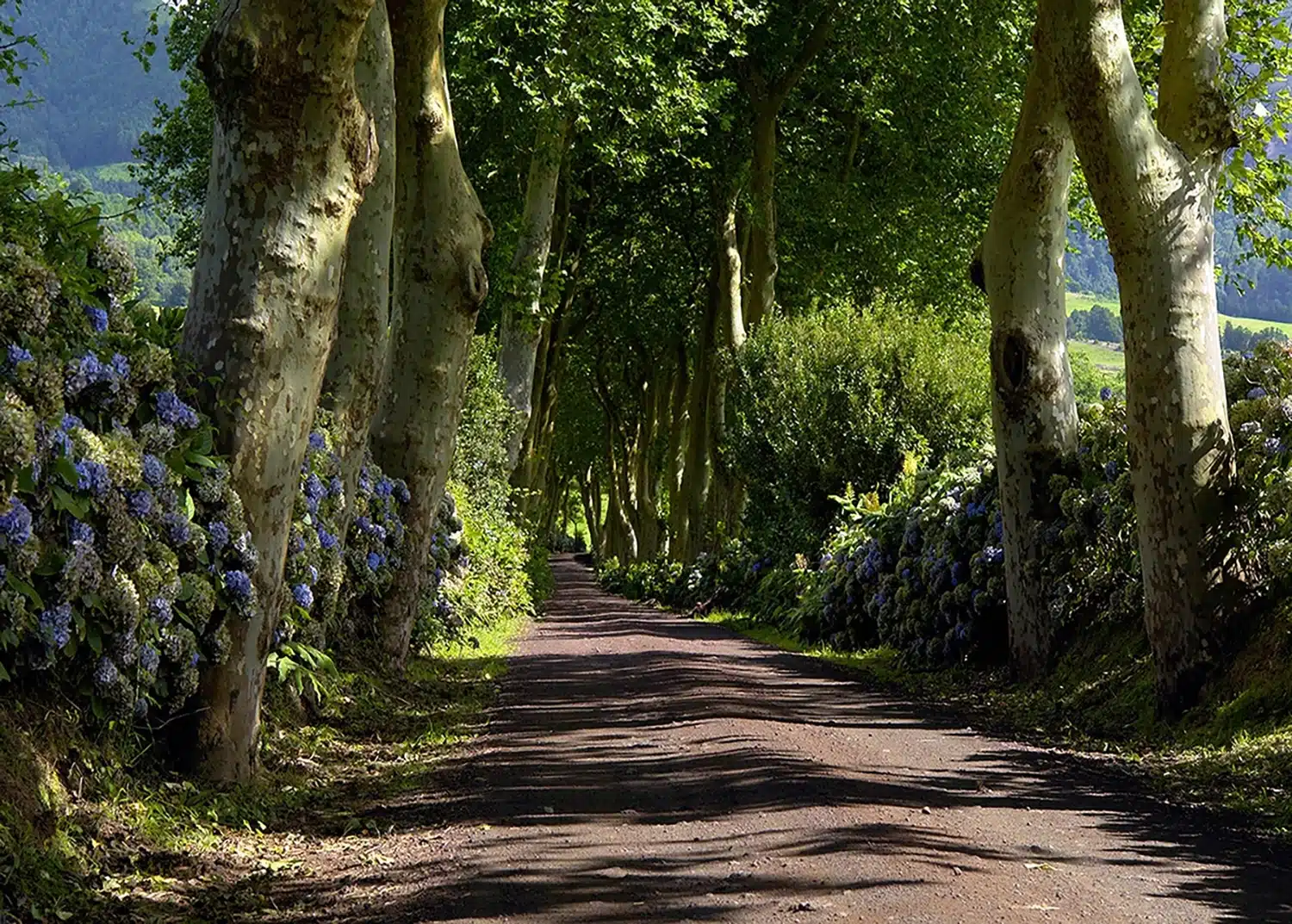 Wall Mural Alley, 375 x 270 cm, FTNS 2449