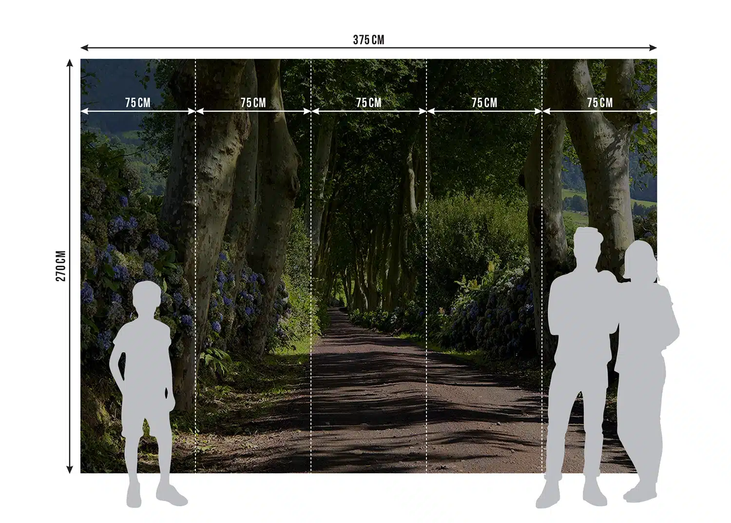 Wall Mural Alley, 375 x 270 cm, FTNS 2449 8