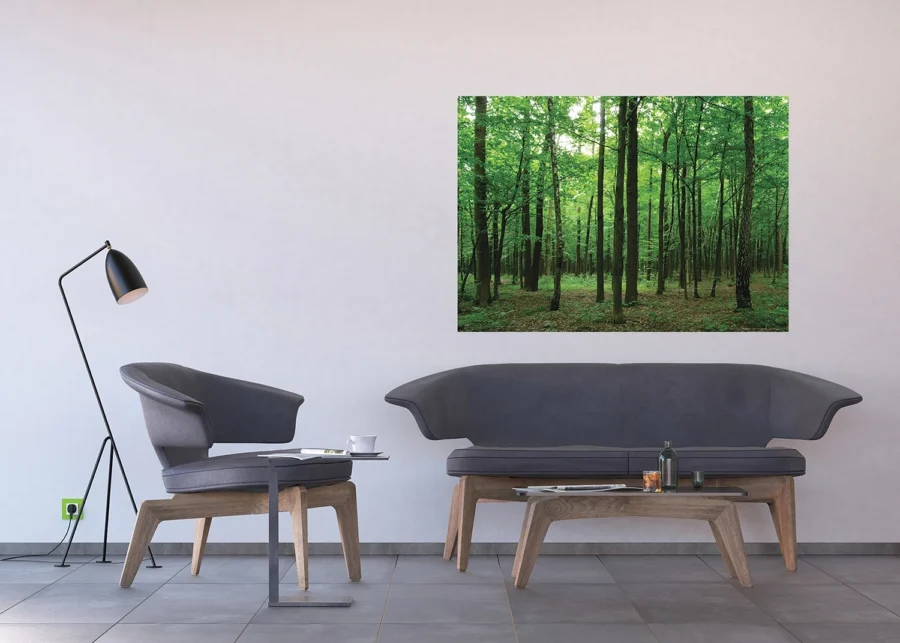 Wall Mural Forest, 160 x 110 cm, FTNM 2656 - Image 3