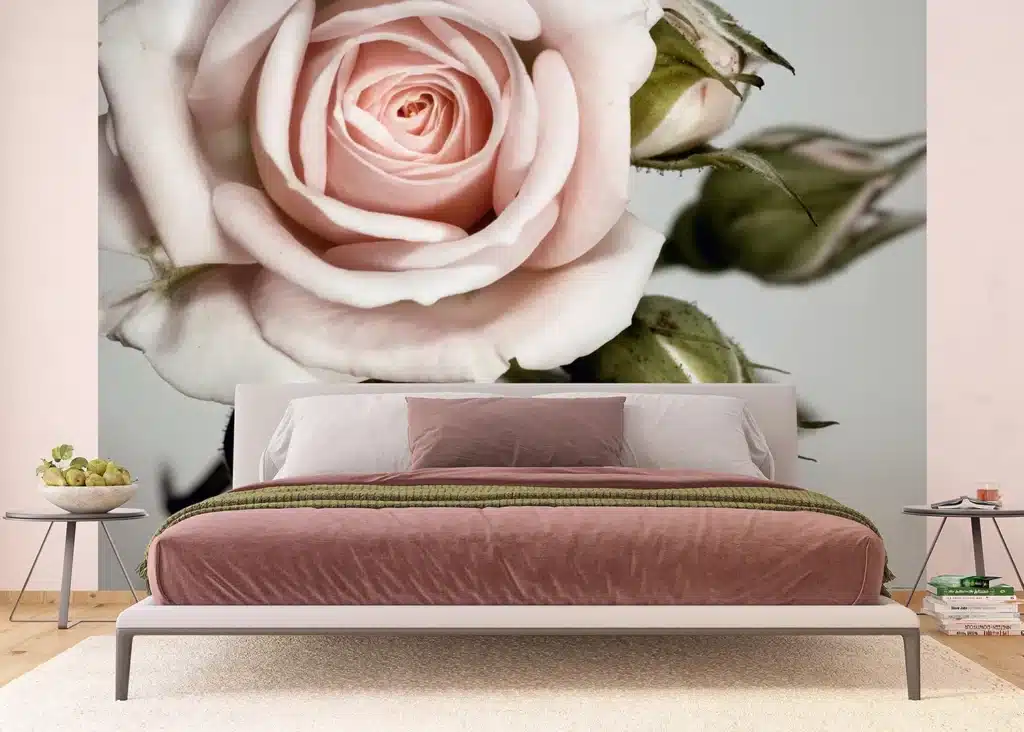 Custom Size Wall Mural Rose | Premium Non-Woven Wallpaper | FTNXXL0313