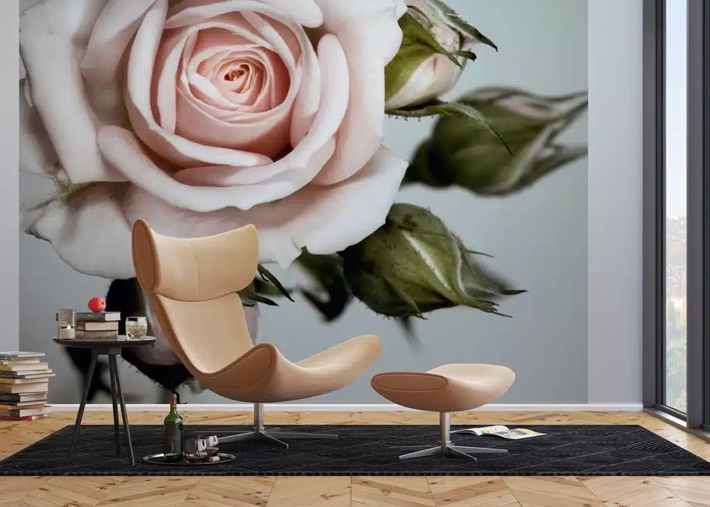 Custom Size Wall Mural Rose | Premium Non-Woven Wallpaper | FTNXXL0313 3