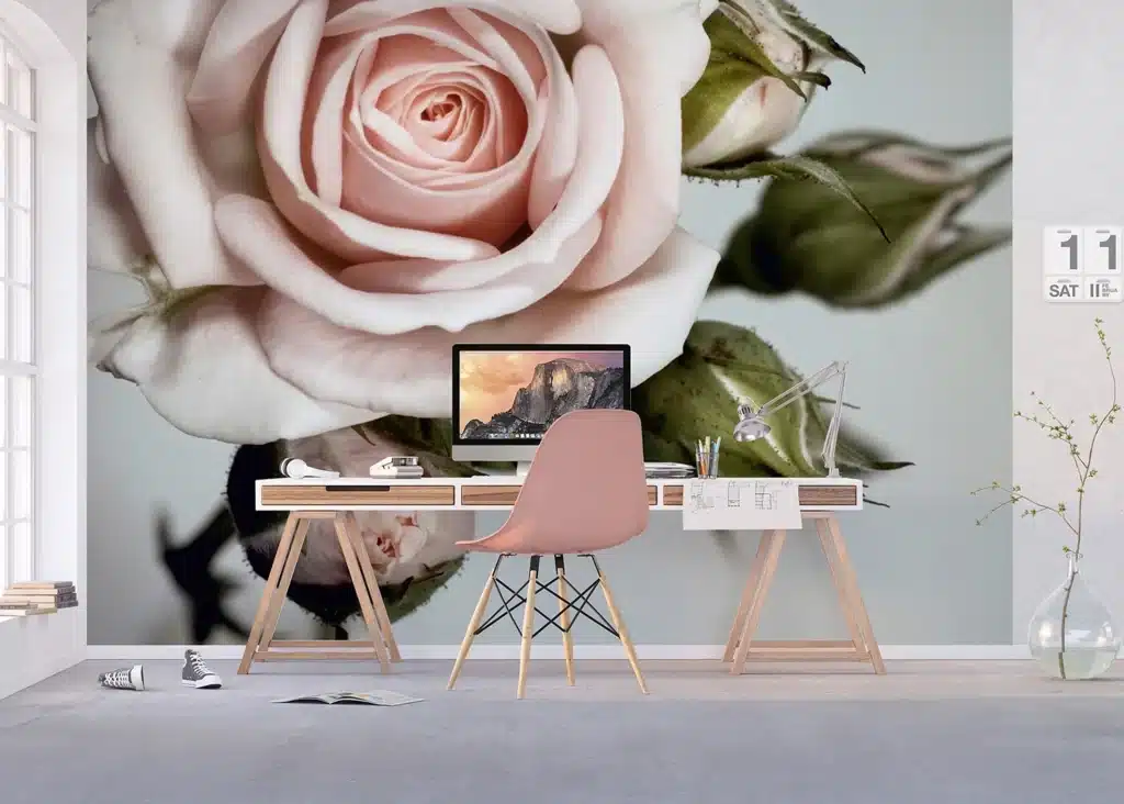 Custom Size Wall Mural Rose | Premium Non-Woven Wallpaper | FTNXXL0313 5