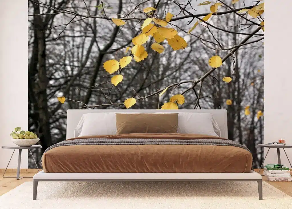 Custom Size Wall Mural Autumn Vibes | Premium Non-Woven Wallpaper | FTNXXL0317 2