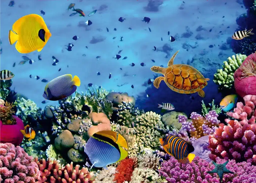 Wall Mural Underwater, 375 x 270 cm, FTNXXL 0375