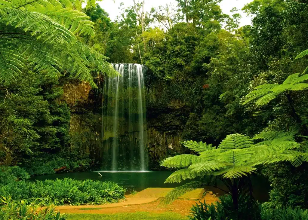 Custom Size Wall Mural Waterfall in Prairie | Premium Non-Woven Wallpaper | FTNXXL0386 1