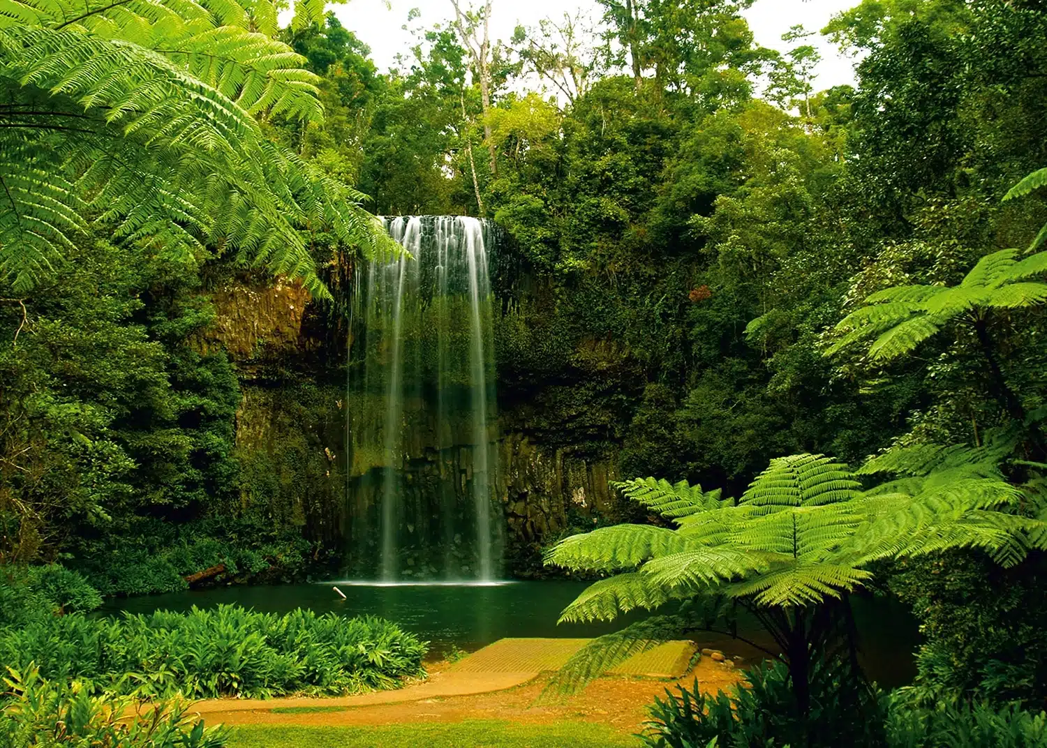 Custom Size Wall Mural Waterfall in Prairie | Premium Non-Woven Wallpaper | FTNXXL0386