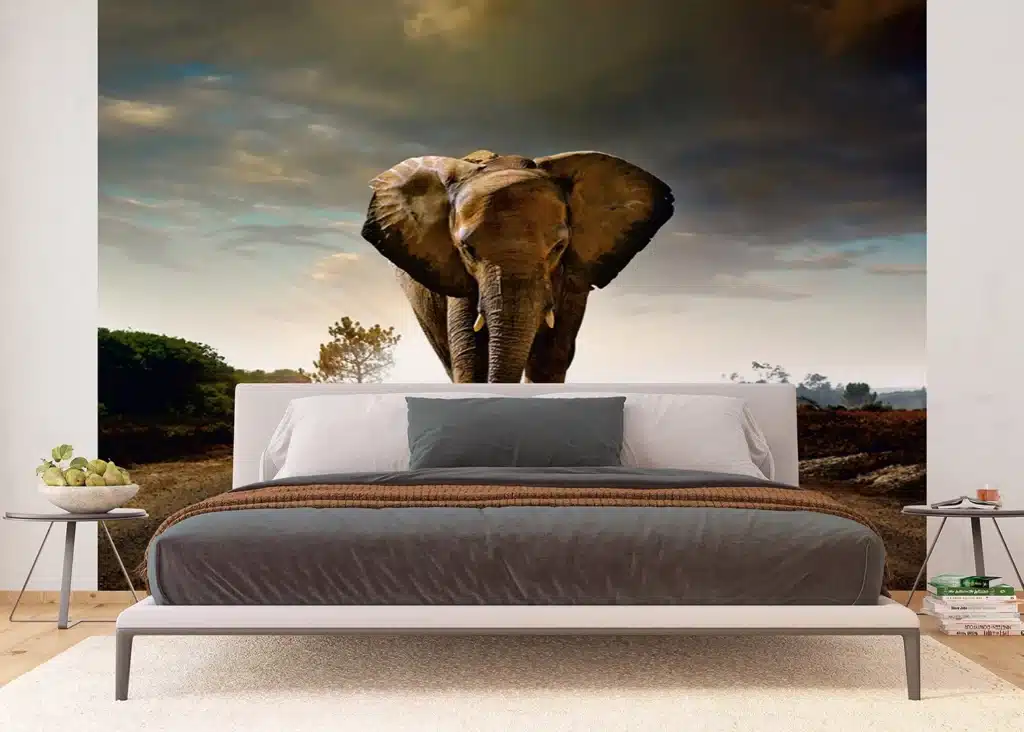 Wall Mural Elephant, 375 x 270 cm, FTNXXL 0438 2