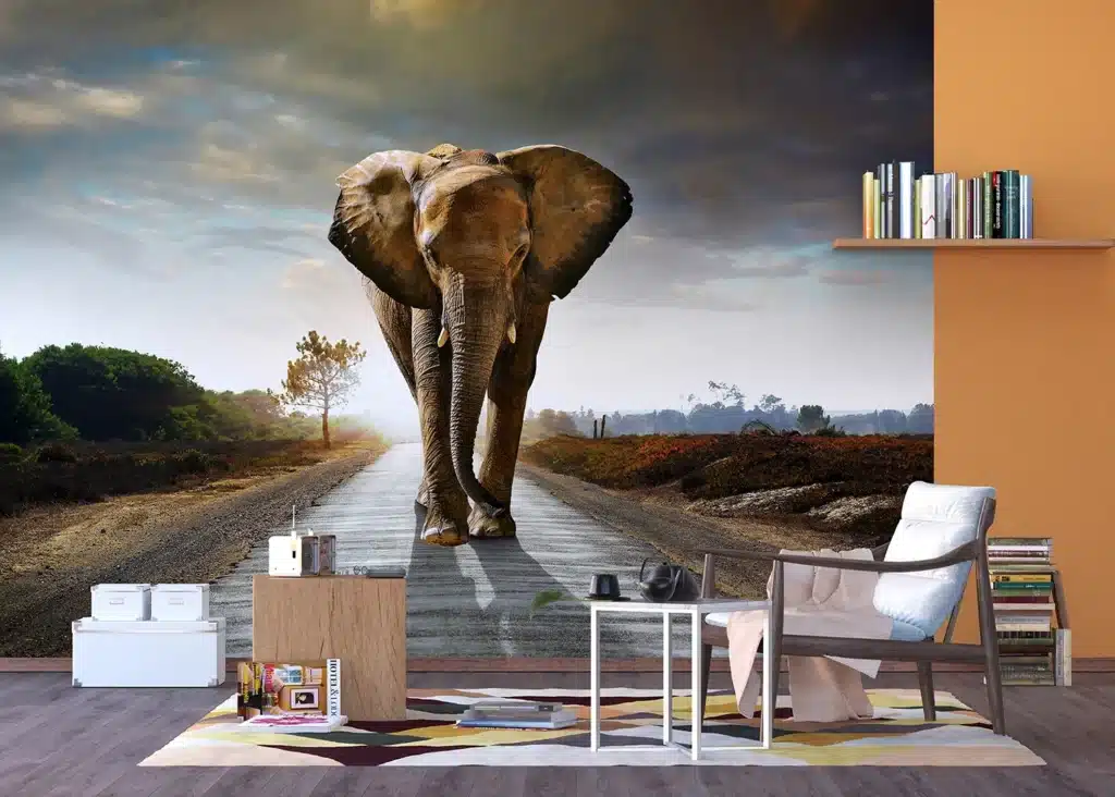 Wall Mural Elephant, 375 x 270 cm, FTNXXL 0438