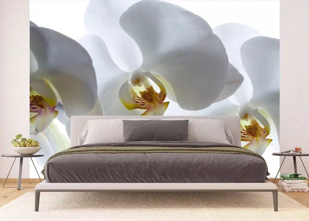 Custom Size Wall Mural White Orchid | Premium Non-Woven Wallpaper | FTNXXL0466