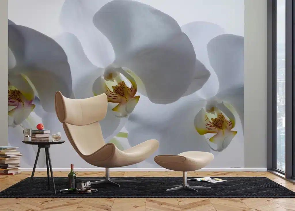 Custom Size Wall Mural White Orchid | Premium Non-Woven Wallpaper | FTNXXL0466 2