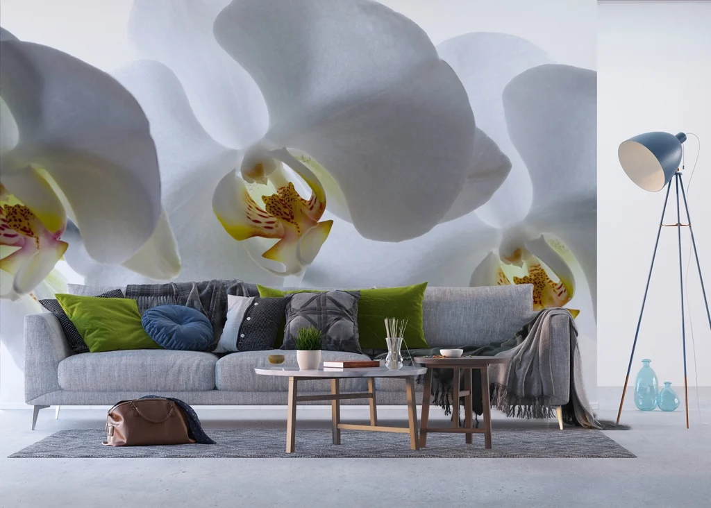 Custom Size Wall Mural White Orchid | Premium Non-Woven Wallpaper | FTNXXL0466 3