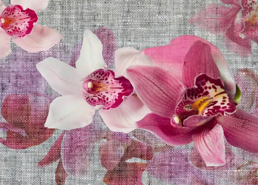 Custom Size Wall Mural Orchids | Premium Non-Woven Wallpaper | FTNXXL1148 1
