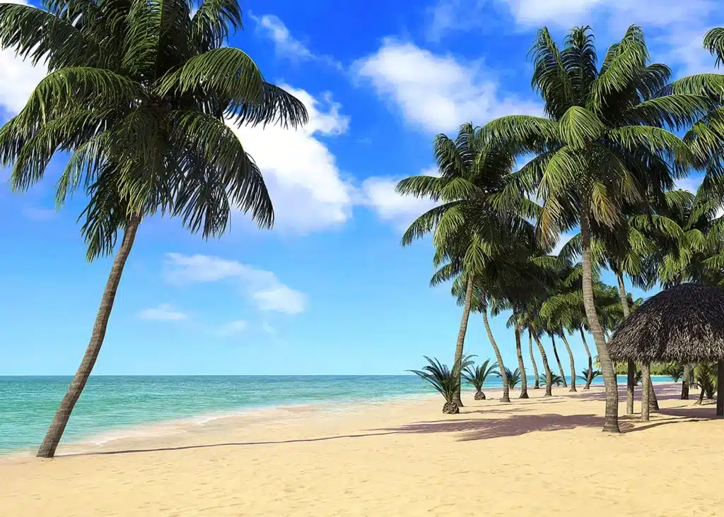 Custom Size Wall Mural Palm Beach | Premium Non-Woven Wallpaper | FTNXXL1234 1