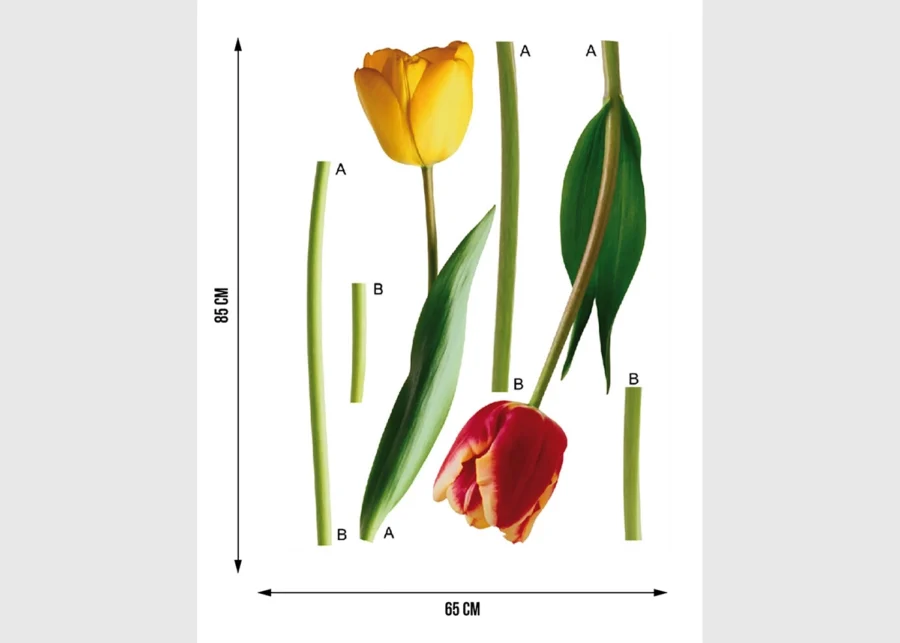 Wall Stickers Tulips, 65 x 85 cm, F 0401 - Image 5