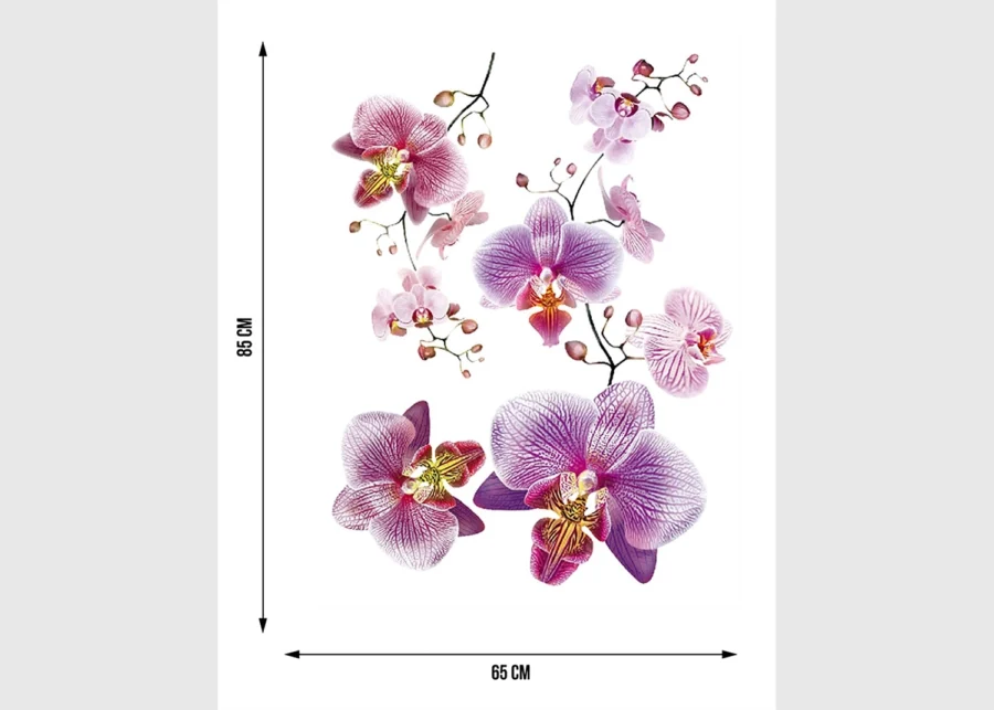 Wall Stickers Blossom Pink, 65 x 85 cm, F 0466 - Image 5