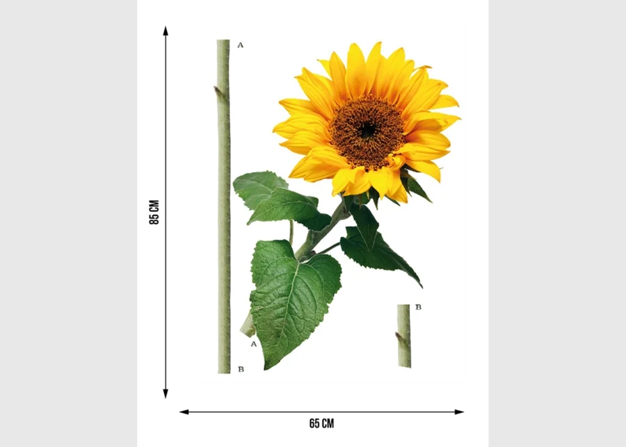 Wall Stickers Sunflower, 65 x 85 cm, F 0476 - Image 5