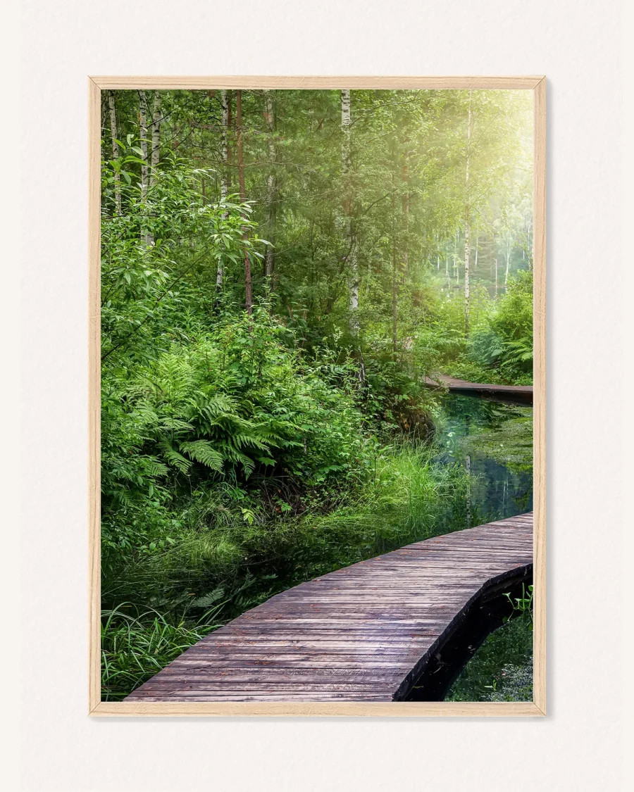 Poster Forest Waterfall / Forest Boardwalk, 30 x 42 cm, P 351321 - Image 2