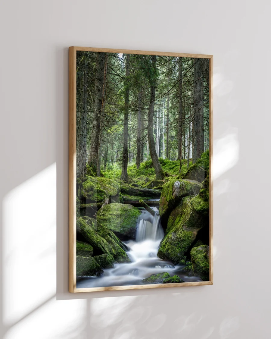Poster Forest Waterfall / Forest Boardwalk, 30 x 42 cm, P 351321 - Image 7