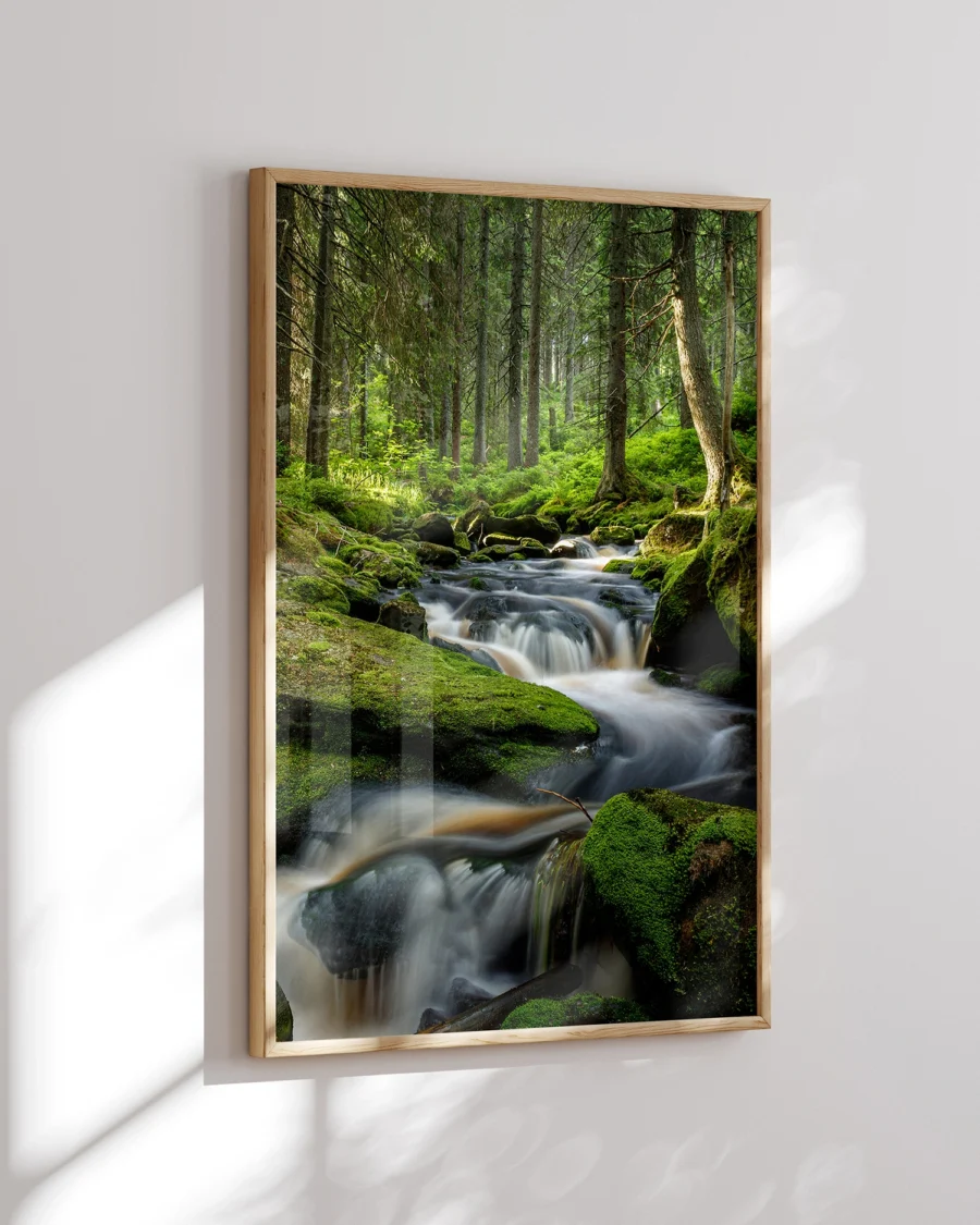 Poster Pine Branches / Forest Stream in Sunrise, 30 x 42 cm, P 351327 - Image 4