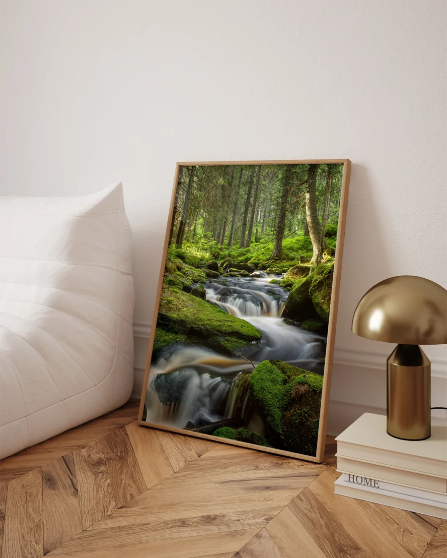 Poster Pine Branches / Forest Stream in Sunrise, 30 x 42 cm, P 351327 - Image 3