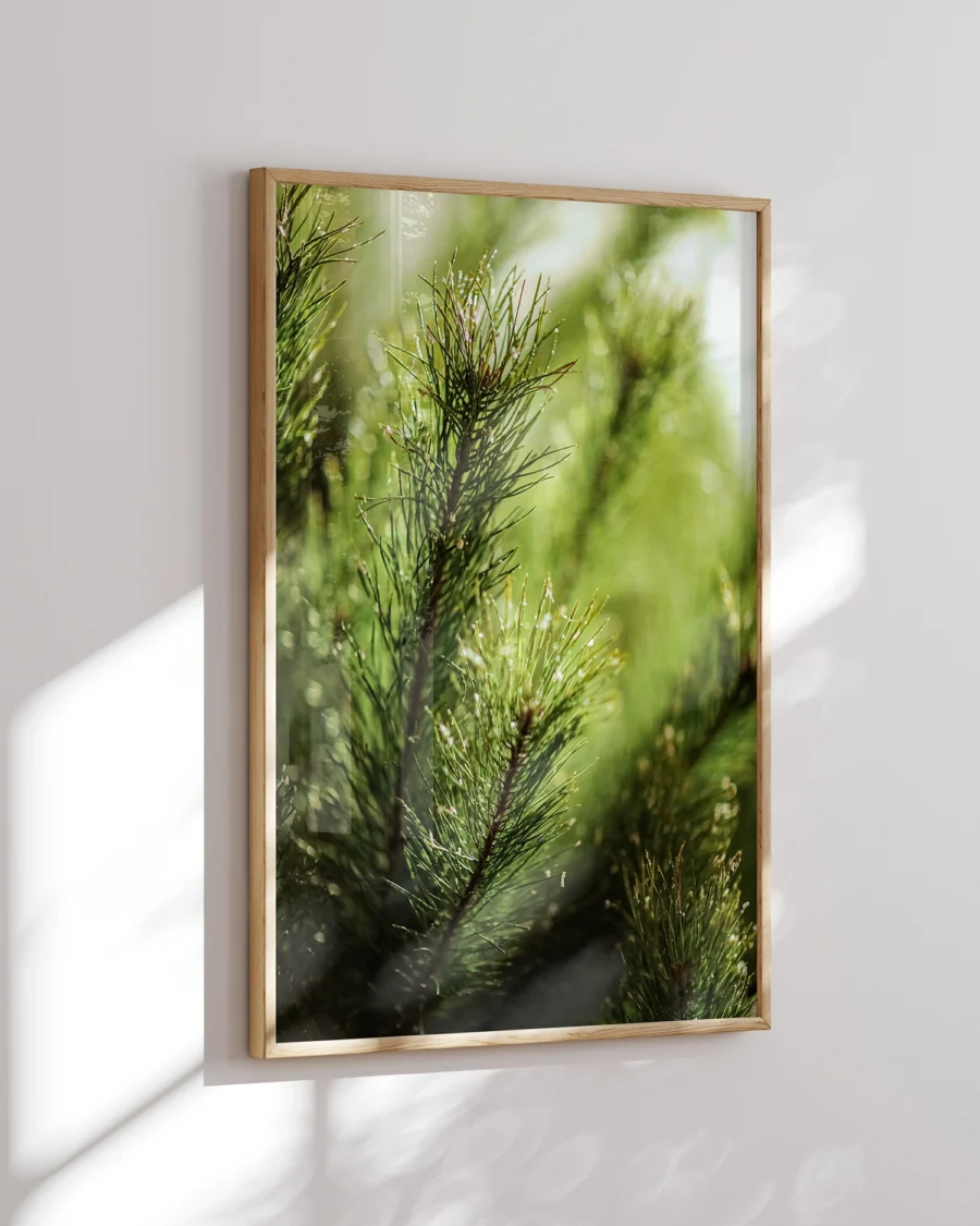 Poster Pine Branches / Forest Stream in Sunrise, 30 x 42 cm, P 351327 - Image 7