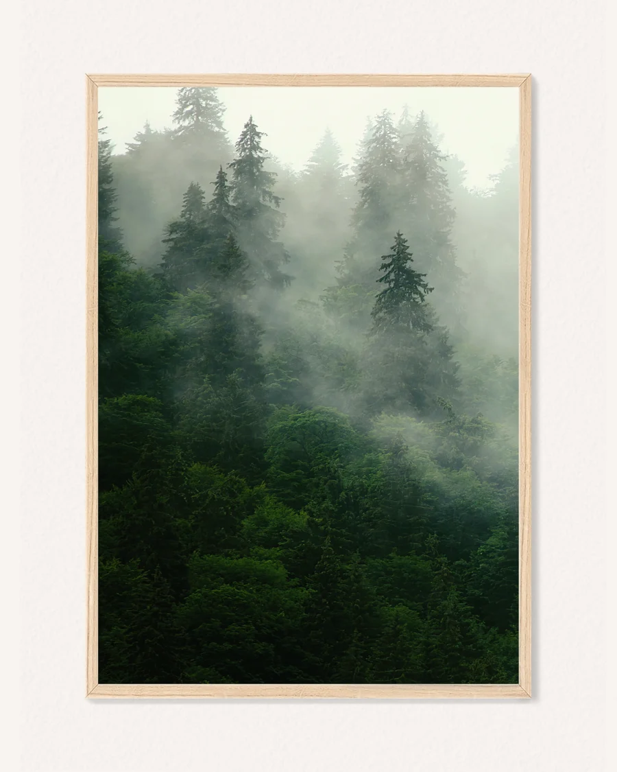 Poster Nature, 30 x 42 cm, P 351461