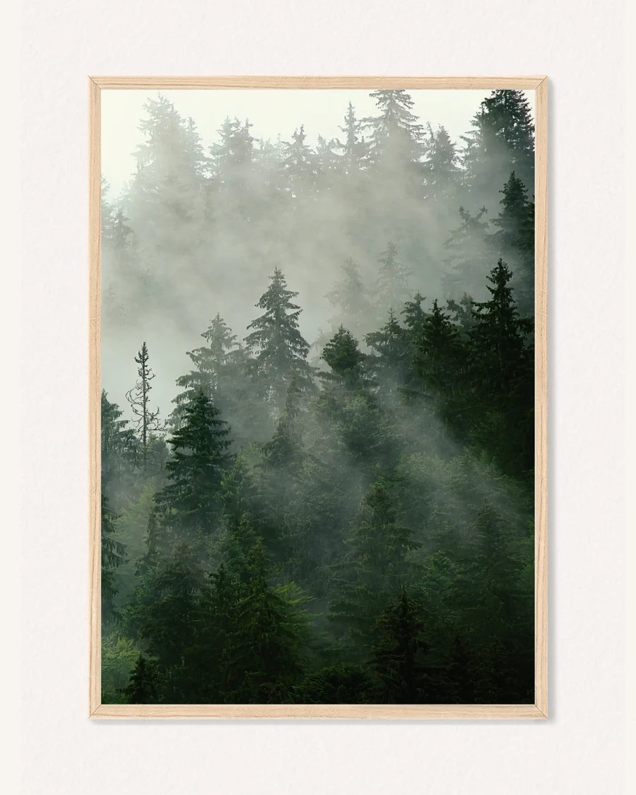 Poster Nature, 30 x 42 cm, P 351465