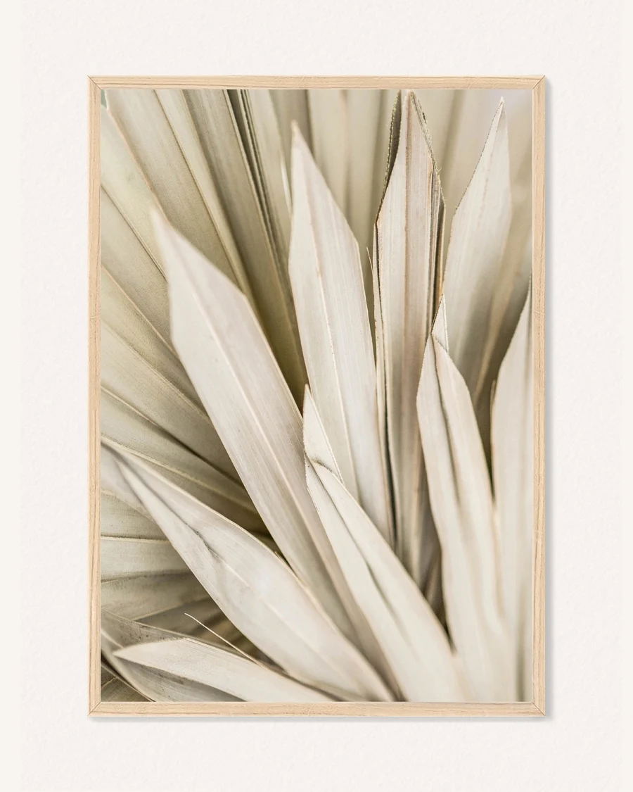 Poster Botanics, 30 x 42 cm, P 351485