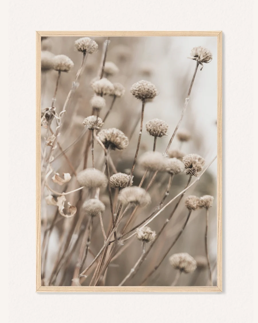 Poster Summer Pampas, 30 x 42 cm, P 351493 - Image 2