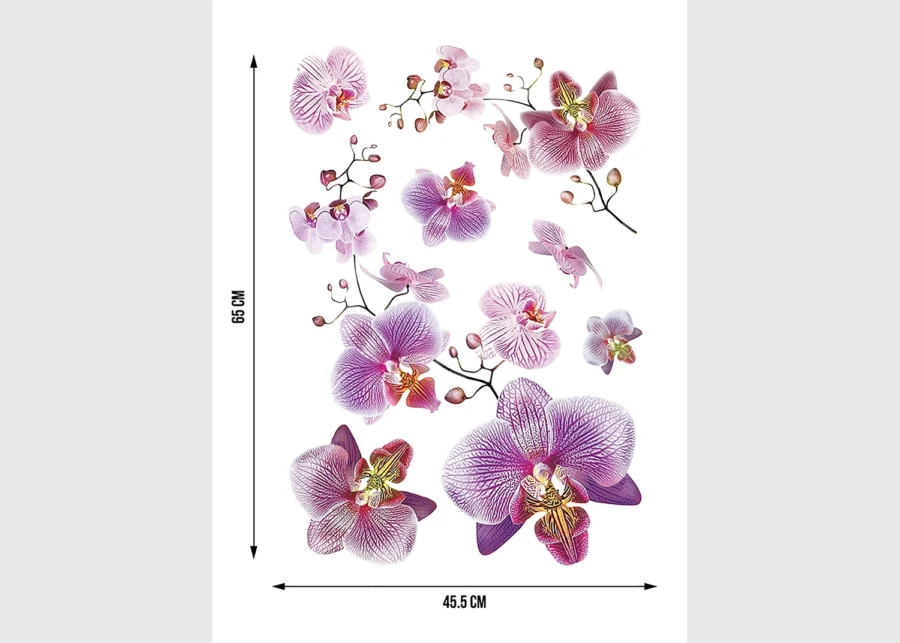 Wall Stickers Orchids, 42,5 x 65 cm, SM 3440 - Image 5
